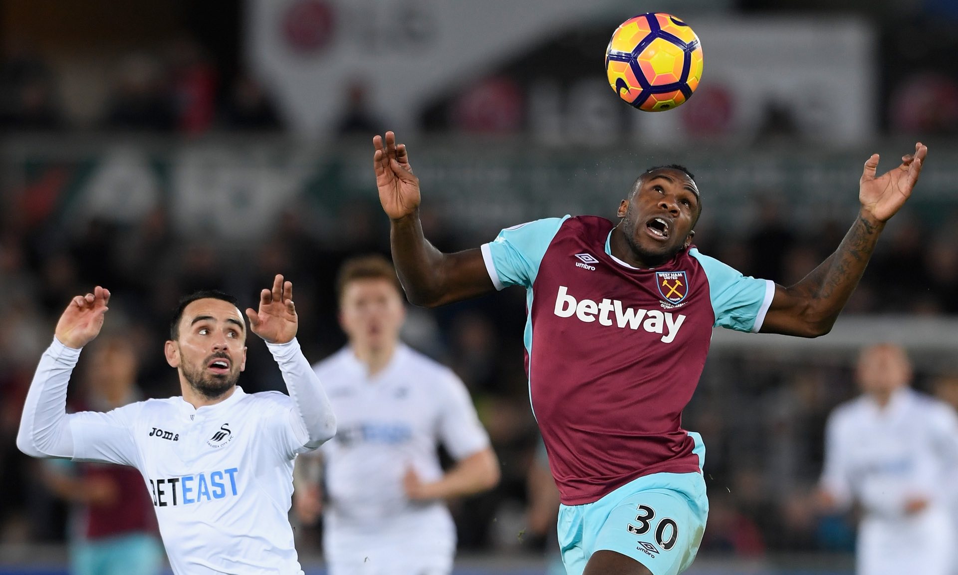 是一个培养 是一个培养