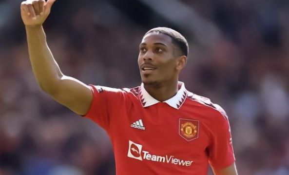 瓜帅的目的 瓜帅的目的